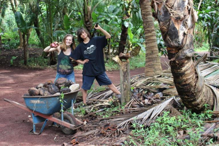 Paradise Eco Village Pahoa Exteriér fotografie