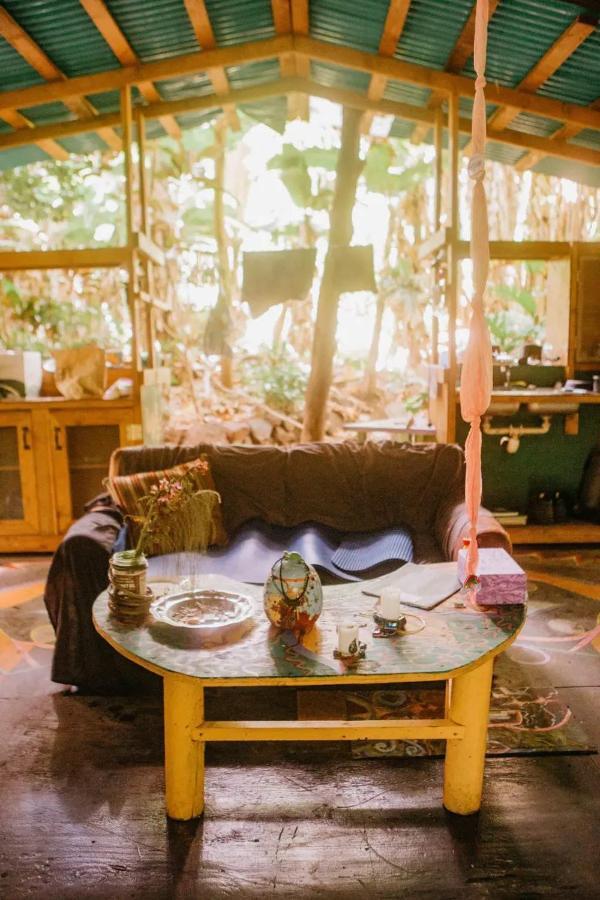 Paradise Eco Village Pahoa Exteriér fotografie