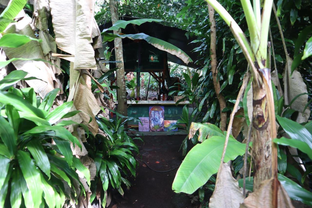 Paradise Eco Village Pahoa Exteriér fotografie