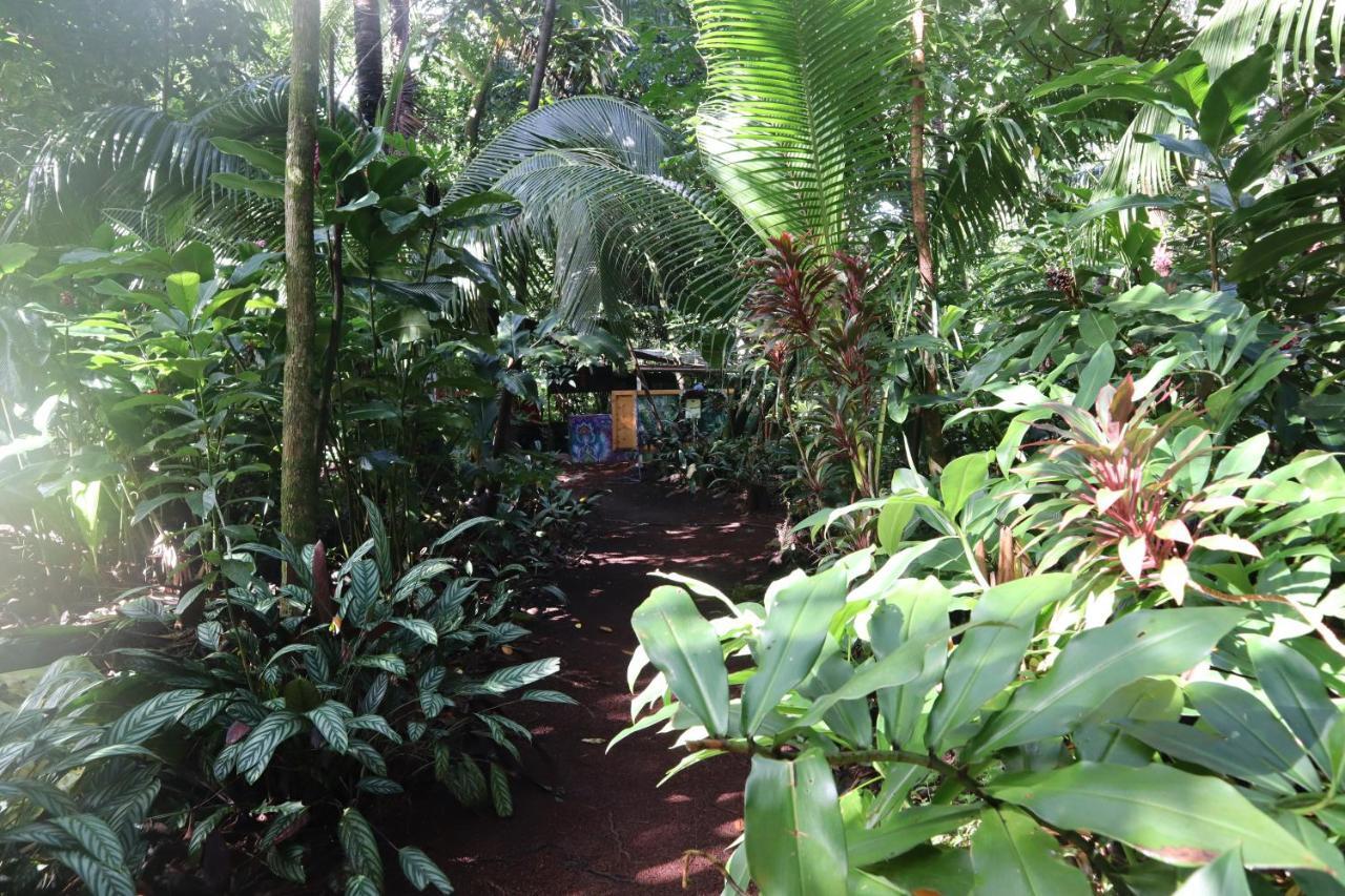 Paradise Eco Village Pahoa Exteriér fotografie