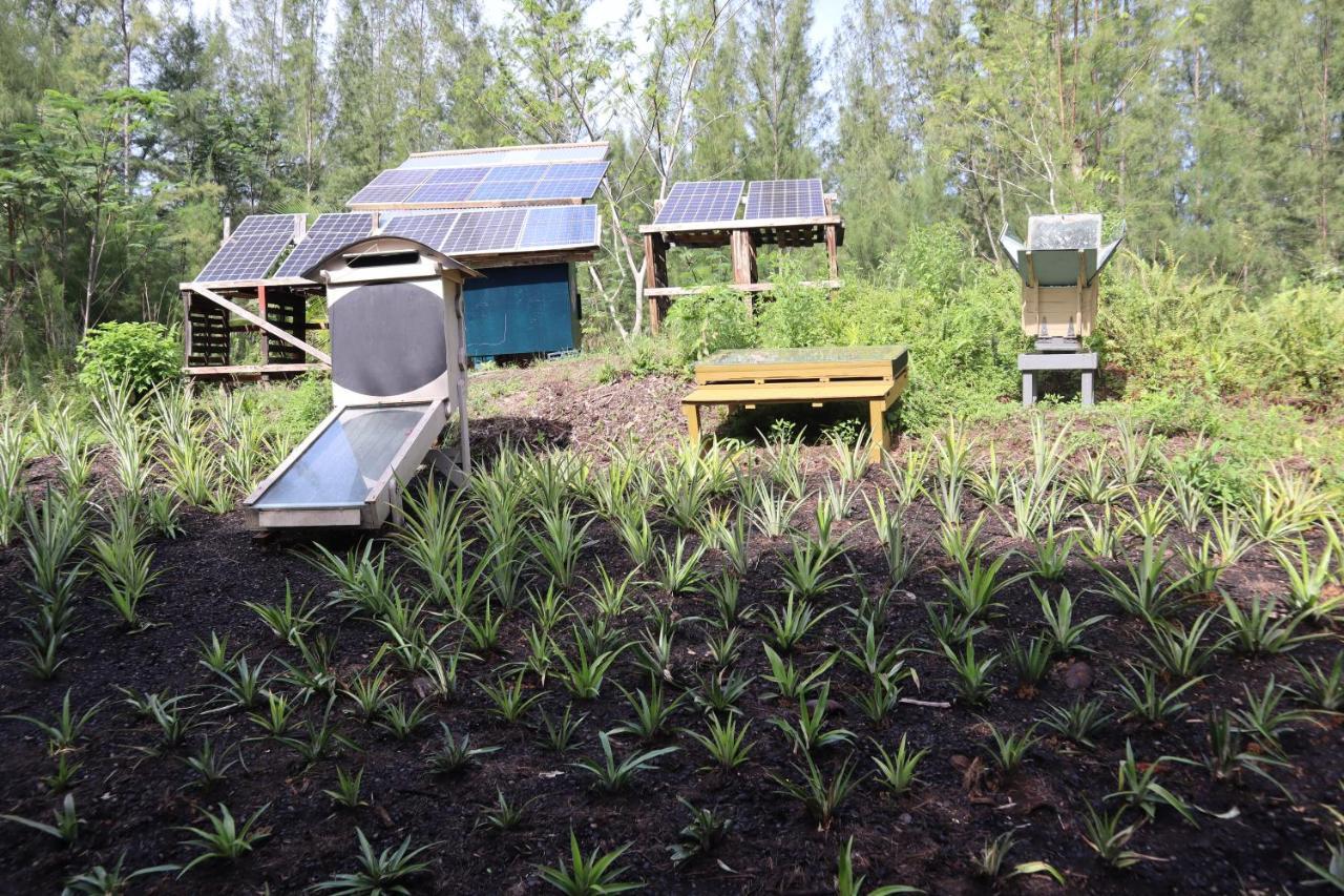 Paradise Eco Village Pahoa Exteriér fotografie